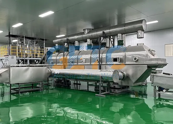 Vegetable Freeze Dryer Lyophilizers Vacuum Drying Machine Drying Equipment Vibrating Fluidized Bed Dryer 